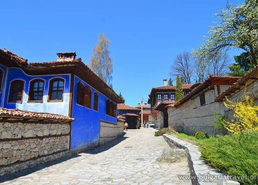 A picturesque cobblestone street lined with charming blue and white buildings.