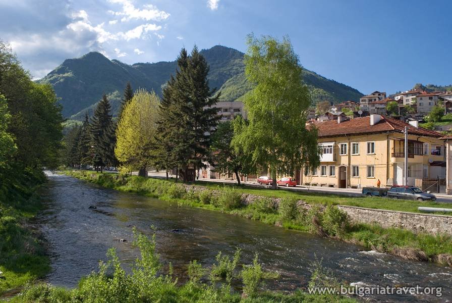 a river with buildings and trees
