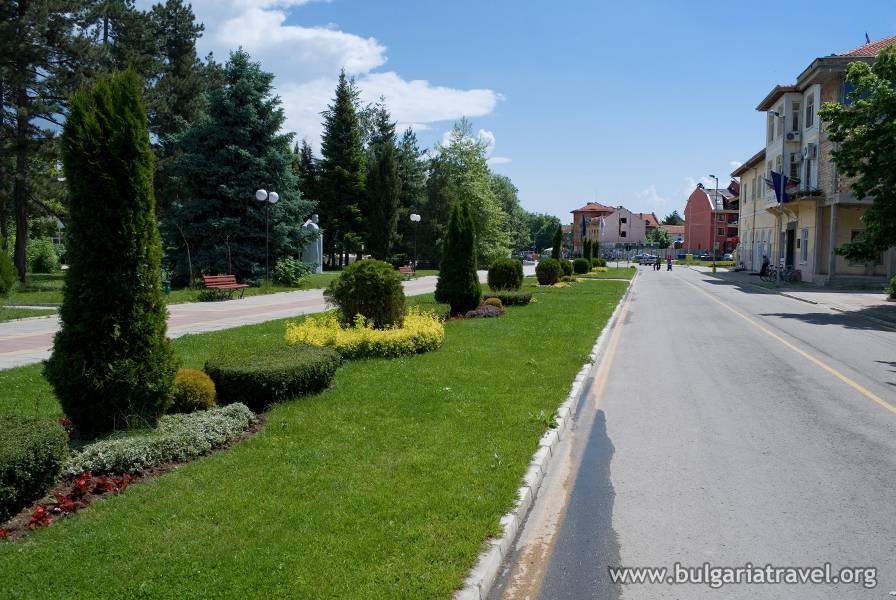 A scenic street in the heart of town, lined with trees and bushes, creating a serene and green atmosphere.