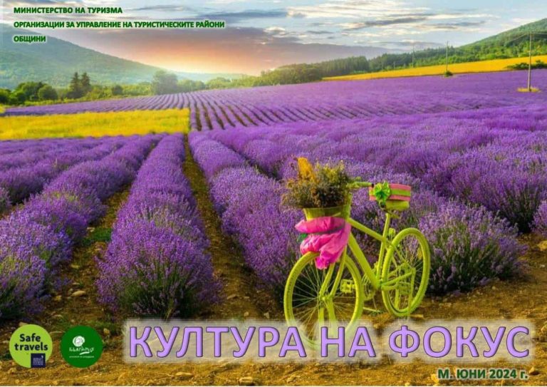 Lavender fields create a serene backdrop on the album cover.