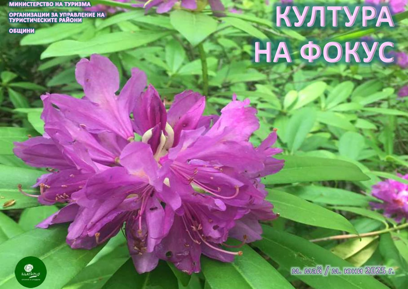 viber_image_2025-06-21_11-27-08-244