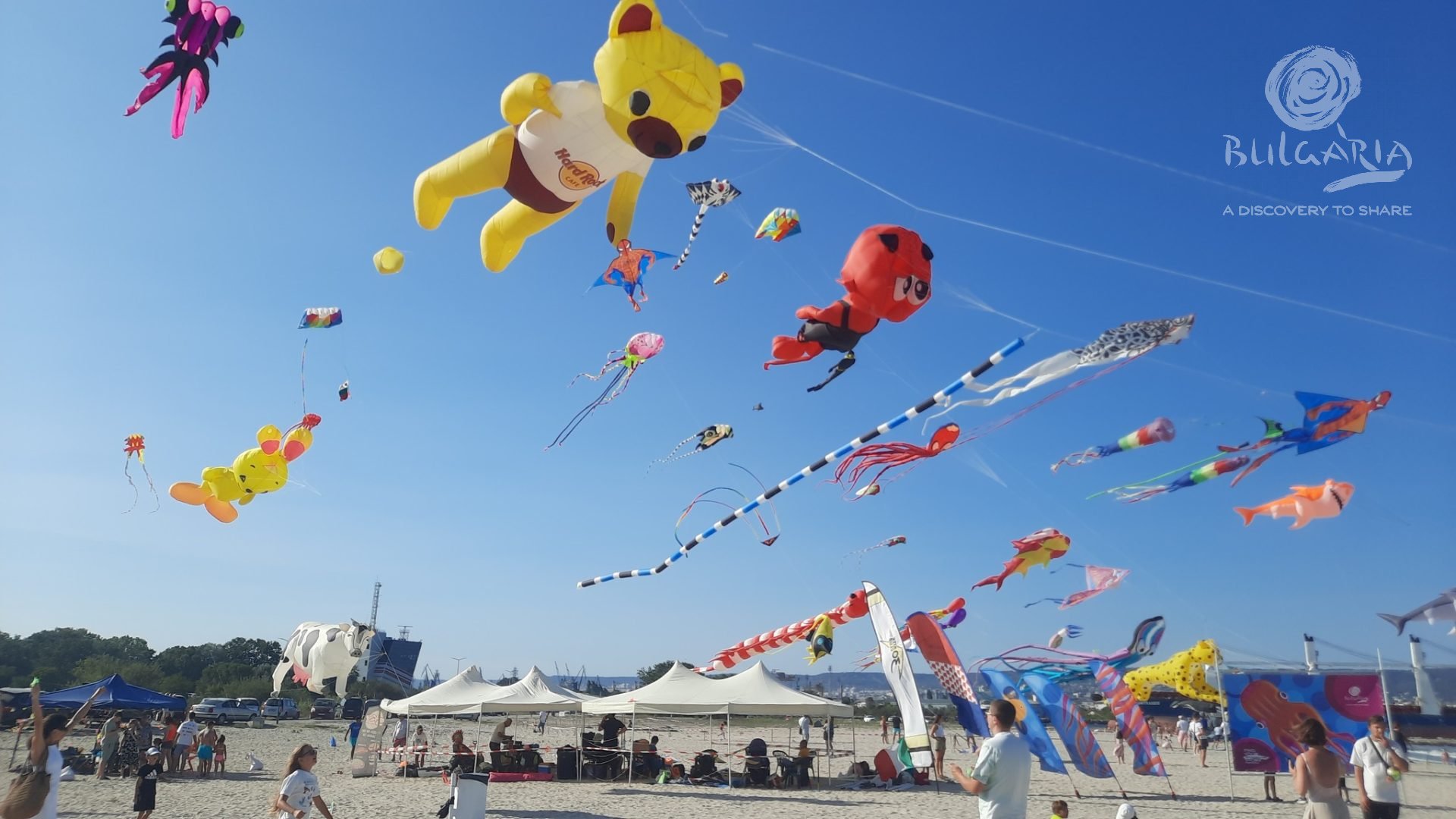 Kite-festival